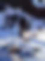 موقع زواج موقع تعارف