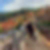 موقع زواج موقع تعارف