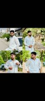 صورة العضو