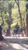موقع زواج موقع تعارف