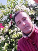 صورة العضو